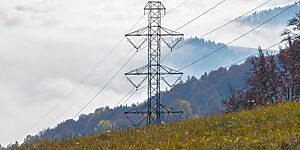 zuschuss bei uebertragungsnetzentgelten