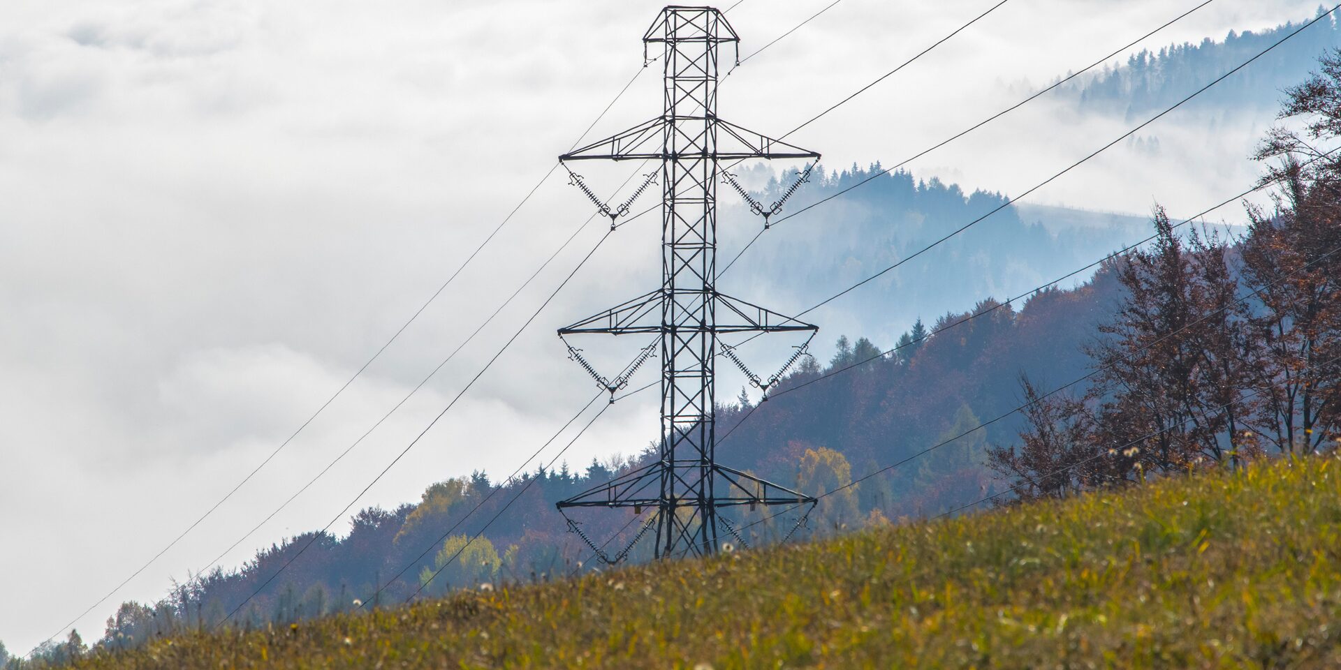 zuschuss bei uebertragungsnetzentgelten