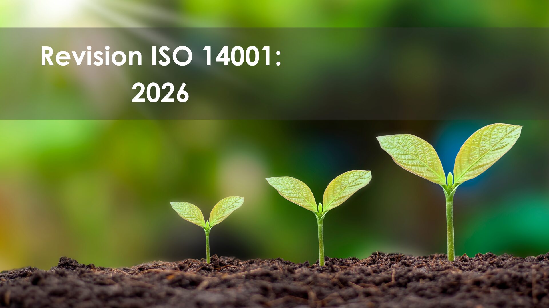 revision iso 14001